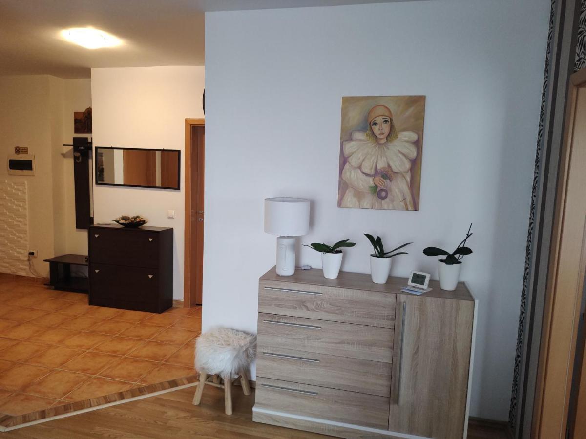 Avantgarden1 .Apartament Lux 布拉索夫 外观 照片