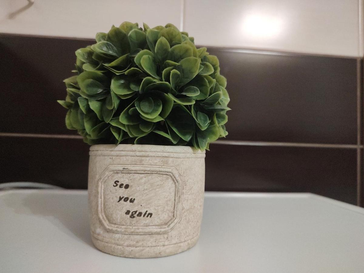 Avantgarden1 .Apartament Lux 布拉索夫 外观 照片